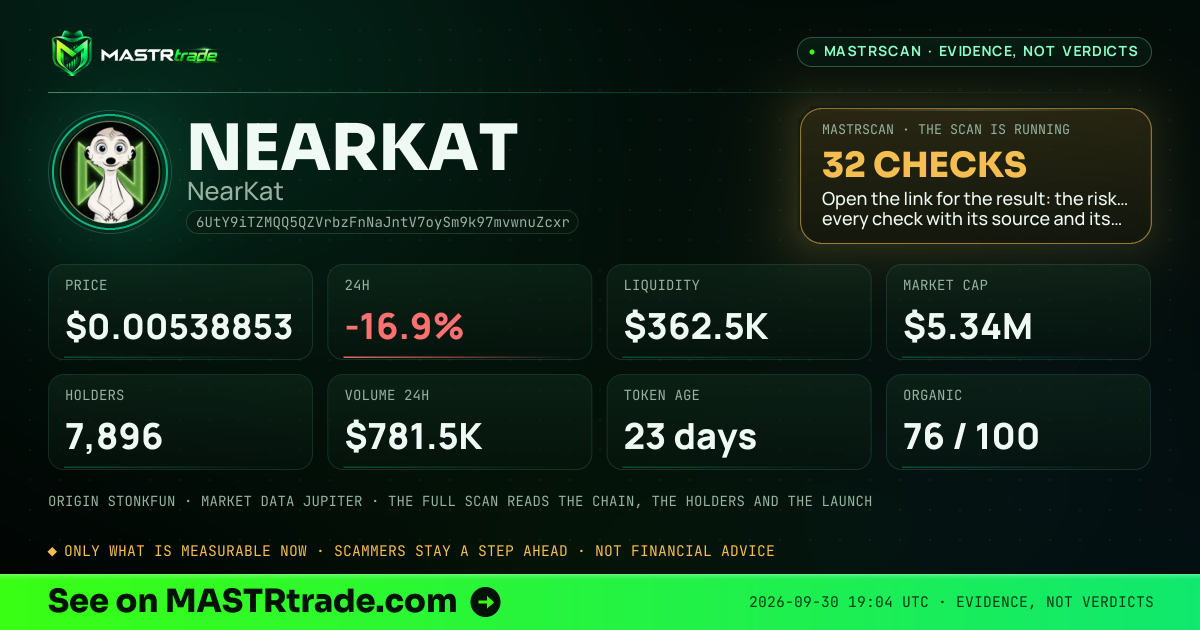 MASTRscan of NEARKAT: the risk level, checks passed and 8 measurements