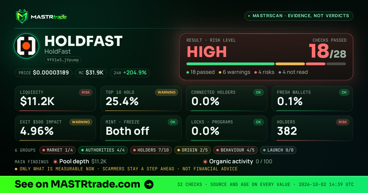 MASTRscan of HOLDFAST: the risk level, checks passed and 8 measurements