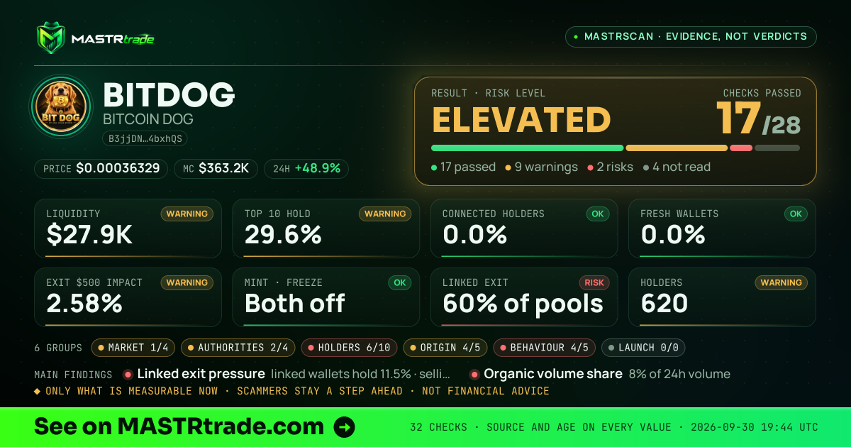 MASTRscan of BITDOG: the risk level, checks passed and 8 measurements