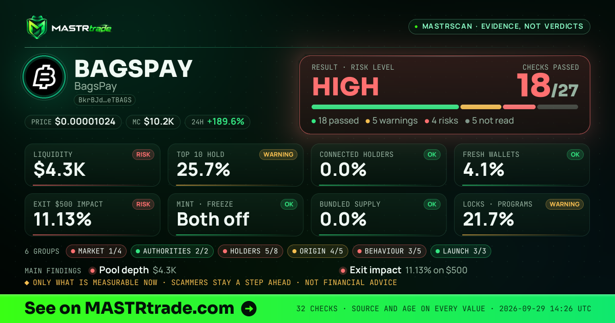 MASTRscan of BAGSPAY: the risk level, checks passed and 8 measurements