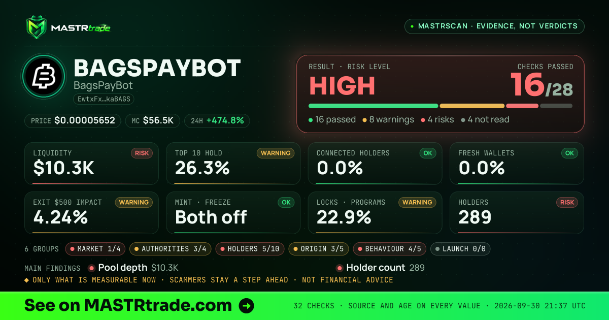 MASTRscan of BAGSPAYBOT: the risk level, checks passed and 8 measurements
