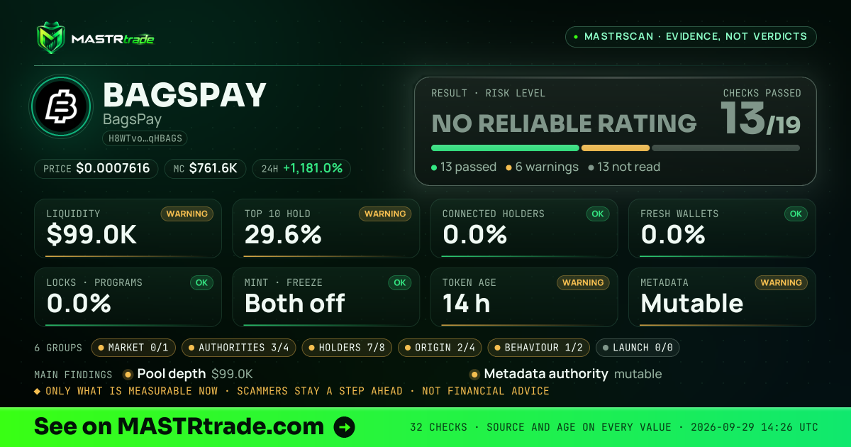 MASTRscan of BAGSPAY: the risk level, checks passed and 8 measurements